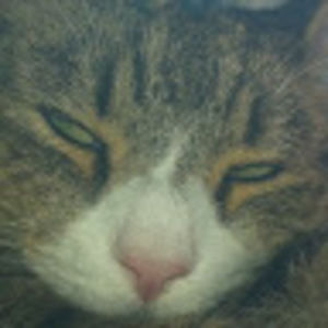 Meet your Posher, Terri